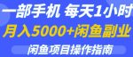 一部手机，每天1小时，月入5000+的闲鱼副业项目操作指南-网创指引人