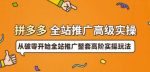 拼多多全站推广高级实操：从破零开始全站推广整套高阶实操玩法-网创指引人