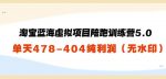 黄岛主：淘宝蓝海虚拟项目陪跑训练营5.0：单天478纯利润（无水印）-网创指引人