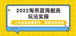 2022淘系蓝海截流玩法实操：让你选品速度更快，提高选品质量（价值599）-网创指引人