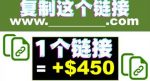 复制链接赚美元，一个链接可赚450+，利用链接点击即可赚钱的项目【视频教程】-网创指引人