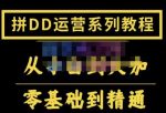 2022全套拼多多核心实操课程，从0-1轻松起链接实战，低投入高产出运作店铺-网创指引人