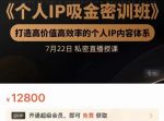 桔子会个人IP吸金密训班，打造高价值高效率的个人IP内容体系（价值12800元）-网创指引人