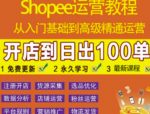 shopee运营教程：从入门基础到高级精通，开店到日出100单（全套课程）-网创指引人