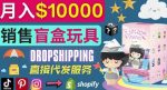 Dropshipping+Shopify推广玩具盲盒赚钱：每单利润率30%,月赚1万美元以上-网创指引人