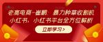 老高电商-崔鹏：暴力种草收割机小红书，小红书平台全方位解析-网创指引人