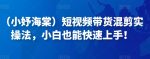 （小妤海棠）短视频带货混剪实操法，小白也能快速上手！-网创指引人