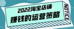 震宇老师·2022年淘宝店铺赚钱的运营策略，一套能够盈利的赚钱打法-网创指引人