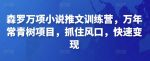 森罗万项小说推文训练营，万年常青树项目，抓住风口，快速变现-网创指引人