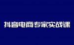 抖音电商专家实战课，你上你也行-人人能做的卖货达人-网创指引人