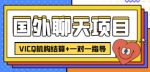 外卖收费998的国外聊天项目，打字一天3-4美金轻轻松松-网创指引人