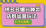 拼多多细分种类店群运营玩法3.0，11月最新玩法，小白也可以操作-网创指引人