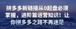 拼多多新链接从0起盘必须掌握，进阶篇运营知识！让你拼多多之路不再迷茫-网创指引人