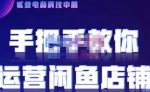 贰叄电商·闲鱼零基础运营课程实战教学（2022版），解无货源模式的逻辑，深层次的了解闲鱼平台-网创指引人