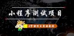 小程序测试项目：从星图、搞笑、网易云、实拍、单品爆破几个维度教你通过抖音抖推猫小程序变现-网创指引人