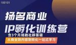 王扬名·商业IP孵化训练营，从商业到内容到转化一站式学习-网创指引人