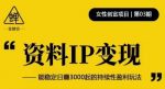 资料IP变现，能稳定日赚3000起的持续性盈利玩法-网创指引人