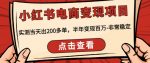 顽石·小红‬书电商变现项目，实测当天出200多单，半年变现百万，非常稳定-网创指引人