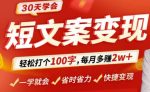 30天学会短文案变现，轻松打个100字，每月多赚2w+！-网创指引人