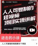 进击的小徐·人人可复制的短视频5个项目，实操讲解年销售额八位数级别项目-网创指引人