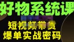 大嘴·好物短视频带货解析，学完你将懂的短视频带货底层逻辑，做出能表现的短视频-网创指引人