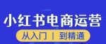 顽石小红书电商高阶运营课程，从入门到精通，玩法流程持续更新-网创指引人