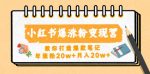 小红书爆涨粉变现营，教你打造爆款笔记，年涨粉20w+月入20w-网创指引人