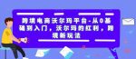 跨境电商沃尔玛平台-从0基础到入门，沃尔玛的红利，跨境新玩法-网创指引人