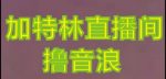 抖音加特林直播间搭建技术，抖音0粉开播，暴力撸音浪，2023新口子，每天800+【素材+详细教程】-网创指引人