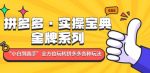 拼多多·实操宝典：金牌系列“小白到高手”带你全方位玩转拼多多各种玩法-网创指引人