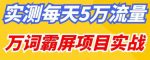 百度万词霸屏实操项目引流课，30天霸屏10万关键词-网创指引人