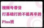 大播汇·视频号带货Puls班，视频号底层逻辑，起号自然流鱼塘等玩法-网创指引人