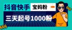 抖音快手三天起号涨粉1000宝妈粉丝的核心方法【详细玩法教程】-网创指引人