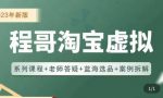 程哥·2023淘宝蓝海虚拟电商，虚拟产品实操运营，蓝海选品+案例拆解-网创指引人