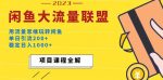 价值1980最新闲鱼大流量联盟玩法，单日引流200+，稳定日入1000+-网创指引人