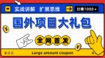 最新国外项目大礼包，包涵十几种国外撸美金项目，新手和小白们闭眼冲就可以了【项目实战教程＋项目网址】-网创指引人