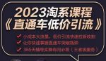 2023直通车低价引流玩法课程，小成本大流量，低价引流快速拉新收割，让你快速掌握直通车突破瓶颈-网创指引人