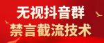 外面卖1500抖音粉丝群无视禁言截流技术，抖音黑科技，直接引流，0封号-网创指引人