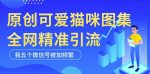 黑科技纯原创可爱猫咪图片，全网精准引流，实操5个VX号被加频繁-网创指引人