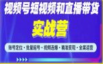 2023最新微信视频号引流和变现全套运营实战课程，小白也能玩转视频号短视频和直播运营-网创指引人