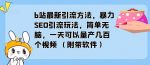 b站最新引流方法，暴力SEO引流玩法，简单无脑，一天可以量产几百个视频（附带软件）-网创指引人