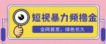 外面收费1680的短视频暴力撸金，日入300+长期可做，赠自动收款平台-网创指引人