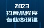 2023年抖音小程序变现保姆级教程，0粉丝新号，无需实名，3天起号，第1条视频就有收入-网创指引人