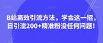 B站高效引流方法，学会这一招，日引流200+精准粉没任何问题【揭秘】-网创指引人