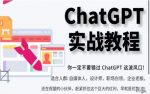 ChatGPT实战教程，带你从小白成为ChatGPT专家，未来淘汰你的不一定是GPT，但一定是会使用GPT的人-网创指引人