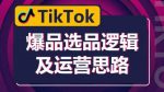 TikTok爆品选品逻辑及运营思路：解决网络环境快速入门TikTok-网创指引人