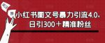 小红书图文号暴力引流4.0，日引300＋精准粉丝【揭秘】-网创指引人