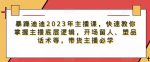 暴躁迪迪2023年主播课，快速教你掌握主播底层逻辑，开场留人、塑品话术等，带货主播必学-网创指引人