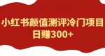 外面1980的项目，小红书颜值测评冷门项目，日赚300+【揭秘】-网创指引人