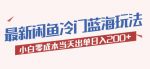 2023最新闲鱼冷门蓝海玩法，小白零成本当天出单日入200+【揭秘】-网创指引人